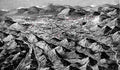 World War II 089 Military A4 Photo Print