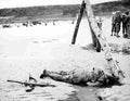 World War II 1023 Military A4 Photo Print
