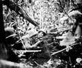 World War II 1037 Military A4 Photo Print