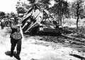World War II 1095 Military A4 Photo Print