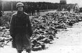 World War II 1125 Military A4 Photo Print