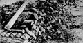 World War II 1140 Military A4 Photo Print