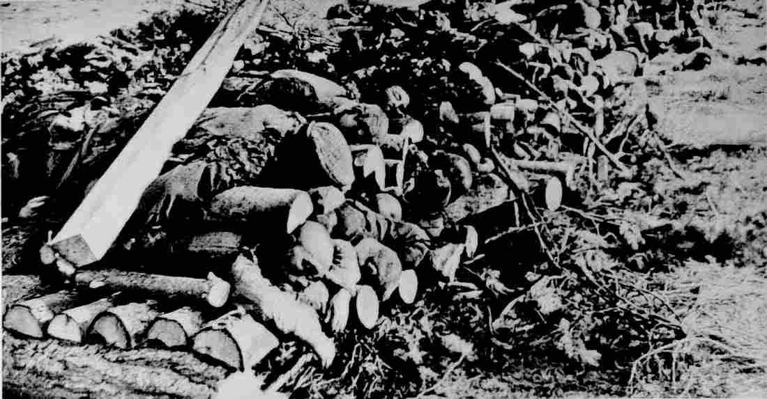 World War II 1140 Military A4 Photo Print