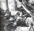 World War II 1148 Military A4 Photo Print