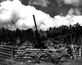World War II 1158 Military A4 Photo Print