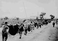 World War II 1189 Military A4 Photo Print