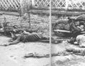 World War II 1197 Military A4 Photo Print