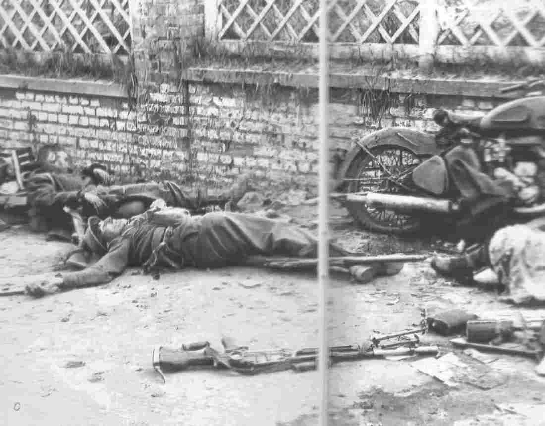 World War II 1197 Military A4 Photo Print