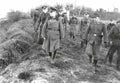 World War II 1200 Military A4 Photo Print