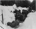World War II 1270 Military A4 Photo Print