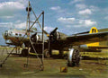 World War II 1303 Military A4 Photo Print