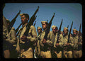 World War II 1368 Military A4 Photo Print