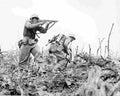 World War II 1411 Military A4 Photo Print
