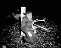 World War II 1416 Military A4 Photo Print