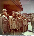 World War II 1493 Military A4 Photo Print