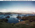World War II 1503 Military A4 Photo Print