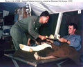 World War II 1531 Military A4 Photo Print