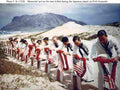 World War II 1532 Military A4 Photo Print