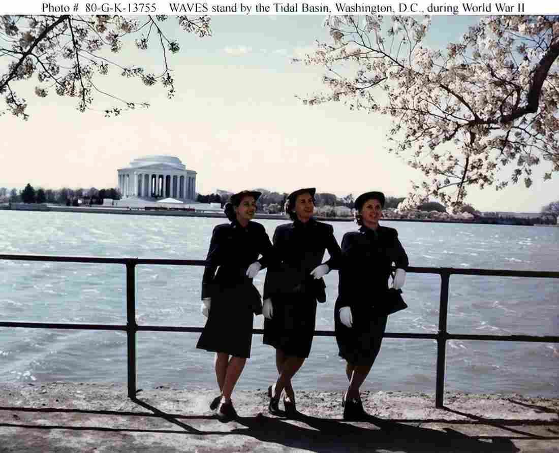 World War II 1556 Military A4 Photo Print