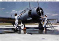 World War II 1618 Military A4 Photo Print