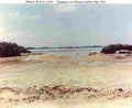 World War II 1645 Military A4 Photo Print