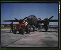 World War II 1860 Military A4 Photo Print