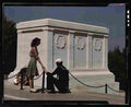 World War II 1886 Military A4 Photo Print