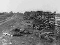World War II 1915 Military A4 Photo Print