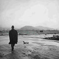 World War II 1946 Military A4 Photo Print