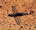 World War II 2007 Military A4 Photo Print