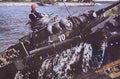 World War II 2021 Military A4 Photo Print