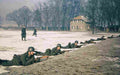 World War II 2134 Military A4 Photo Print