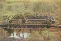 World War II 2138 Military A4 Photo Print