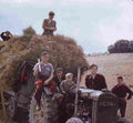World War II 2148 Military A4 Photo Print