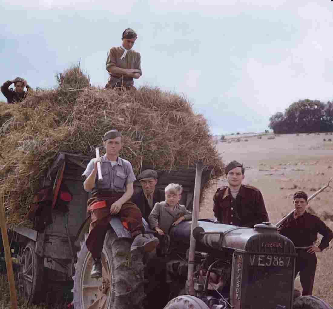 World War II 2148 Military A4 Photo Print