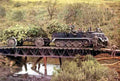 World War II 2192 Military A4 Photo Print