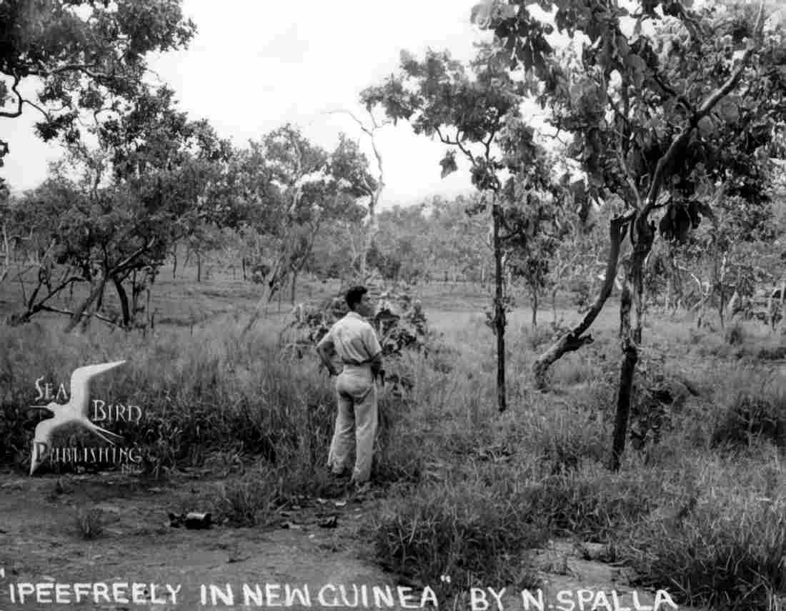World War II 314 Military A4 Photo Print