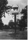 World War II 317 Military A4 Photo Print