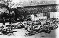 World War II 366 Military A4 Photo Print