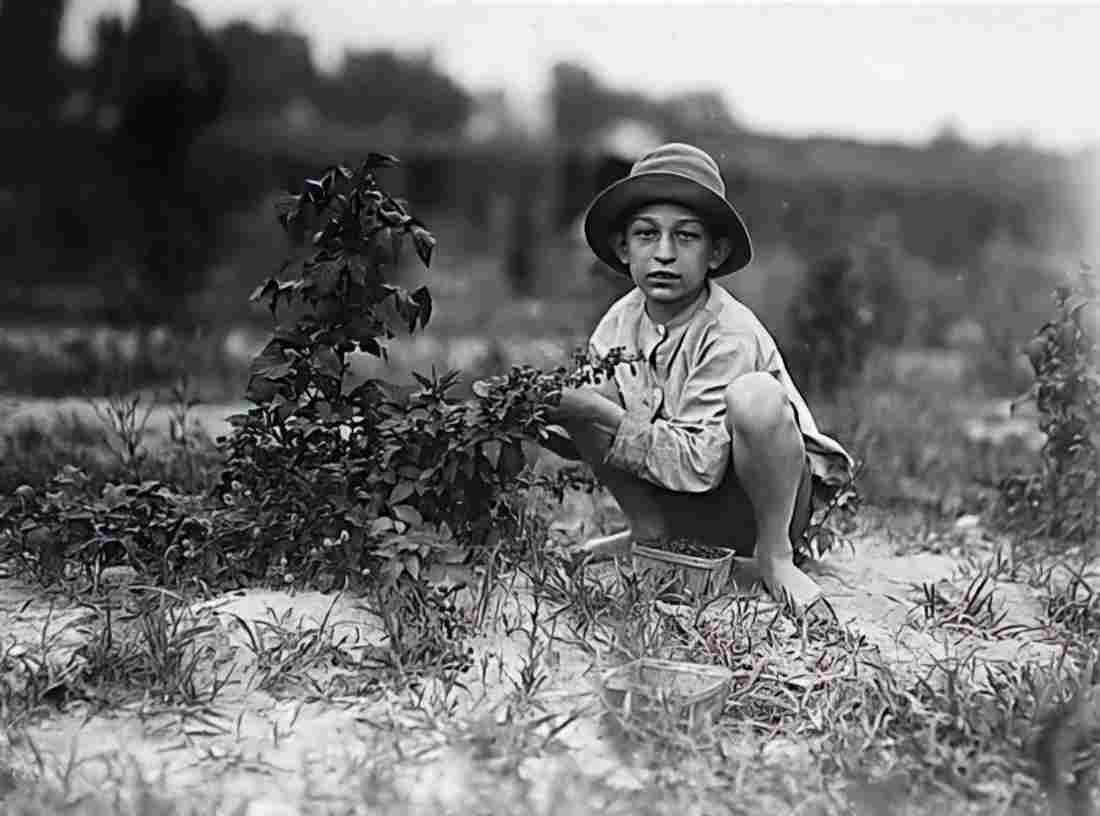 World War II 493 Military A4 Photo Print