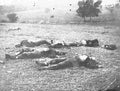 World War II 719 Military A4 Photo Print