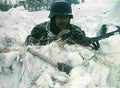 World War II 783 Military A4 Photo Print