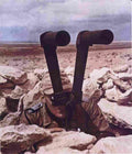 World War II 786 Military A4 Photo Print