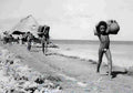 World War II 881 Military A4 Photo Print