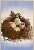 Woven Eggs Save Vintage Retro Advert Poster A4 Photo Print