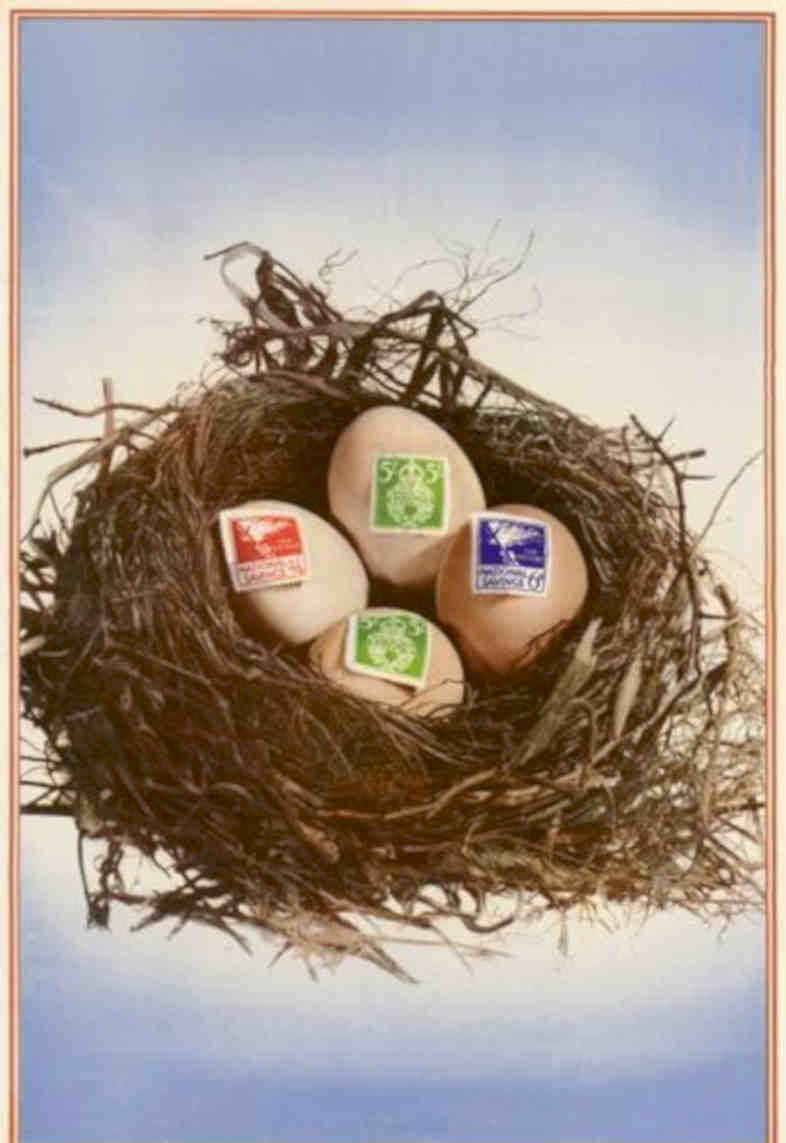 Woven Eggs Save Vintage Retro Advert Poster A4 Photo Print