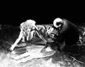 Wray Fay King Kong 14 film star poster A4 Photo Print