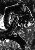 Wray Fay King Kong 17 A4 Photo Print