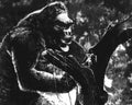 Wray Fay King Kong 17 film star poster A4 Photo Print