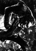 Wray Fay King Kong z6 A4 Photo Print